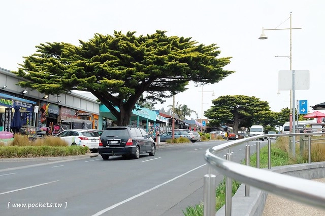 澳洲墨爾本｜菲利普島一日遊 Phillip Island，Maru野生動物園、Panny’s Chocolate巧克力觀光工廠、Cowes小鎮Isola di Capri晚餐、Phillip Island 企鵝島神仙小企鵝歸巢 @飛天璇的口袋