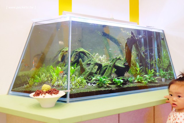 冰酷丫┃台中小吃美食：太平在地人推薦的好吃冰店，老闆人很親切又和善，樹孝路鄰近環中路和太原路，但我比較想吃草莓冰 @飛天璇的口袋