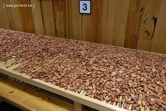 澳洲墨爾本｜菲利普島一日遊 Phillip Island，Maru野生動物園、Panny’s Chocolate巧克力觀光工廠、Cowes小鎮Isola di Capri晚餐、Phillip Island 企鵝島神仙小企鵝歸巢 @飛天璇的口袋