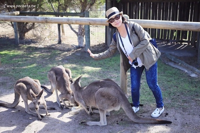 澳洲墨爾本｜墨爾本自由行，墨爾本7日遊行程規劃，美食、景點、住宿總整理 @飛天璇的口袋