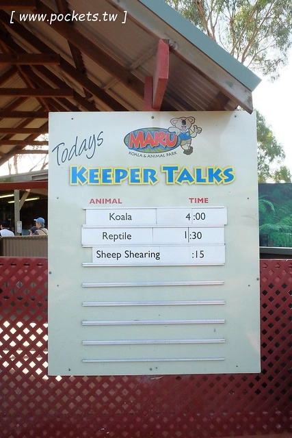 澳洲墨爾本｜菲利普島一日遊 Phillip Island，Maru野生動物園、Panny’s Chocolate巧克力觀光工廠、Cowes小鎮Isola di Capri晚餐、Phillip Island 企鵝島神仙小企鵝歸巢 @飛天璇的口袋