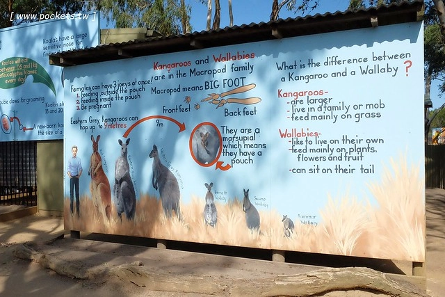 澳洲墨爾本｜墨爾本自由行，墨爾本7日遊行程規劃，美食、景點、住宿總整理 @飛天璇的口袋