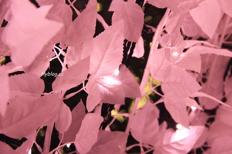 日本三重｜名花之里 なばなの里．日本三大燈季之一，名古屋到名花之里交通方式 @飛天璇的口袋