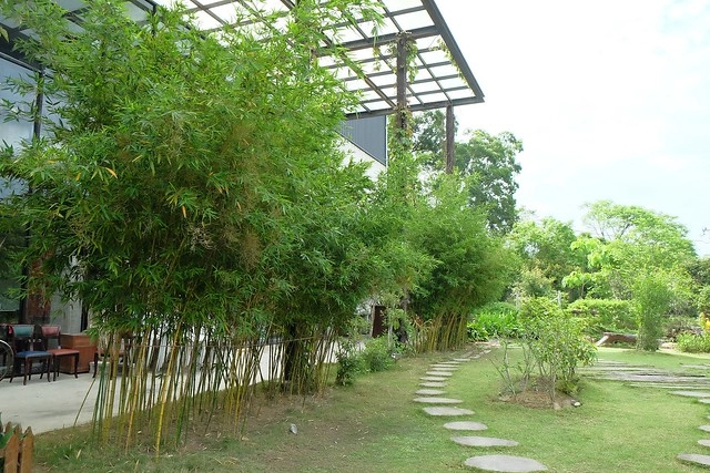 新月梧桐三義店｜漂亮的清水模建築裡，擁有綠意盎然的庭院和四面採光的落地窗設計 @飛天璇的口袋