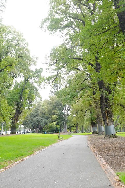 澳洲墨爾本｜墨爾本市區半日遊，溫莎酒店、國會大廈、聖派翠克大教堂、費茲洛花園、庫克船長故居、聯邦廣場、弗林德斯火車站、聖保羅大教堂、Hosier lane塗鴉街、HUNGRY JACK’S @飛天璇的口袋