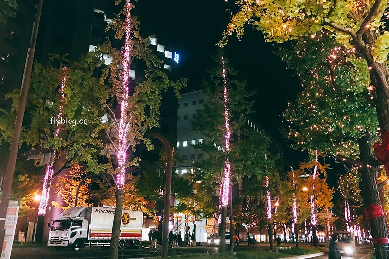 日本大阪｜大阪光之饗宴｜大阪光之饗宴，2019/11/4~ 2020/1/31，御堂筋(阪神前交差点~難波西口交差点) @飛天璇的口袋