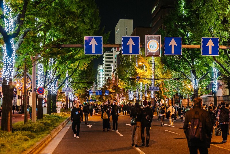 日本大阪｜大阪光之饗宴｜大阪光之饗宴，2019/11/4~ 2020/1/31，御堂筋(阪神前交差点~難波西口交差点) @飛天璇的口袋