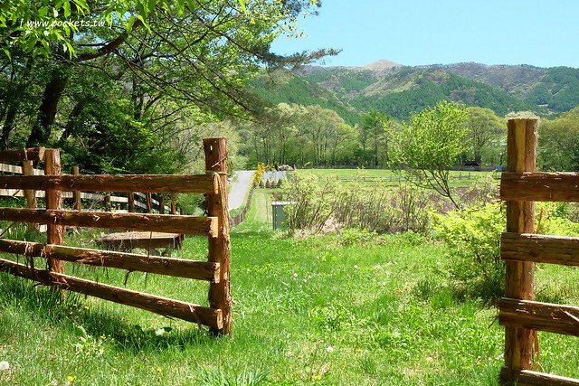 日本山梨｜Country Inn Orchard House 果園之家鄉村旅館．日本清里歐洲風童話小鎮，女主人以當地食材入菜 @飛天璇的口袋