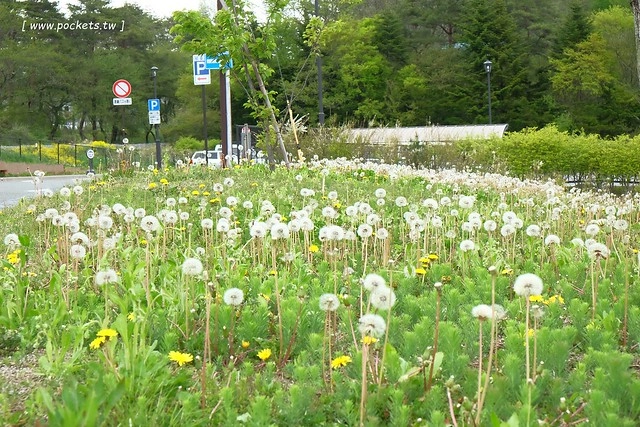 日本山梨｜Country Inn Orchard House 果園之家鄉村旅館．日本清里歐洲風童話小鎮，女主人以當地食材入菜 @飛天璇的口袋