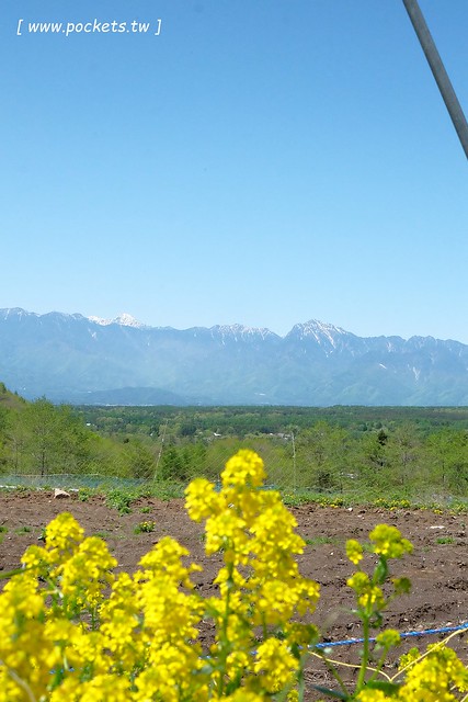 日本山梨｜Country Inn Orchard House 果園之家鄉村旅館．日本清里歐洲風童話小鎮，女主人以當地食材入菜 @飛天璇的口袋