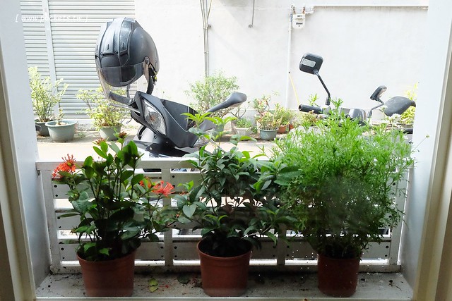 小森空間．Komori┃台中北區美食：充滿無印良品氛圍的日系小店，以手作甜點和中式花茶為主，店裡有很多可愛的卡通公仔，地下室做為藝術作品展覽空間 @飛天璇的口袋