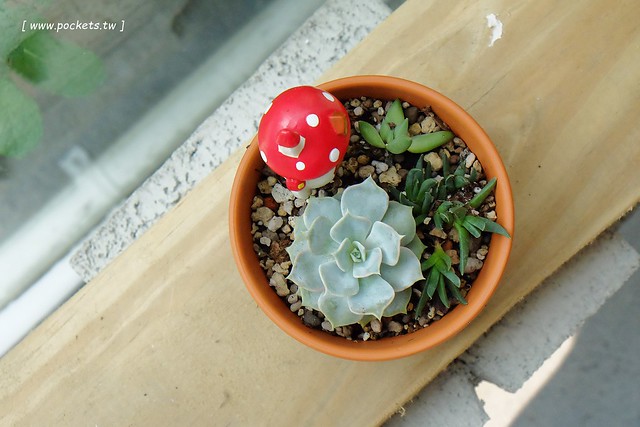 小森空間．Komori┃台中北區美食：充滿無印良品氛圍的日系小店，以手作甜點和中式花茶為主，店裡有很多可愛的卡通公仔，地下室做為藝術作品展覽空間 @飛天璇的口袋