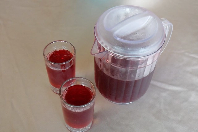 新月梧桐三義店｜漂亮的清水模建築裡，擁有綠意盎然的庭院和四面採光的落地窗設計 @飛天璇的口袋