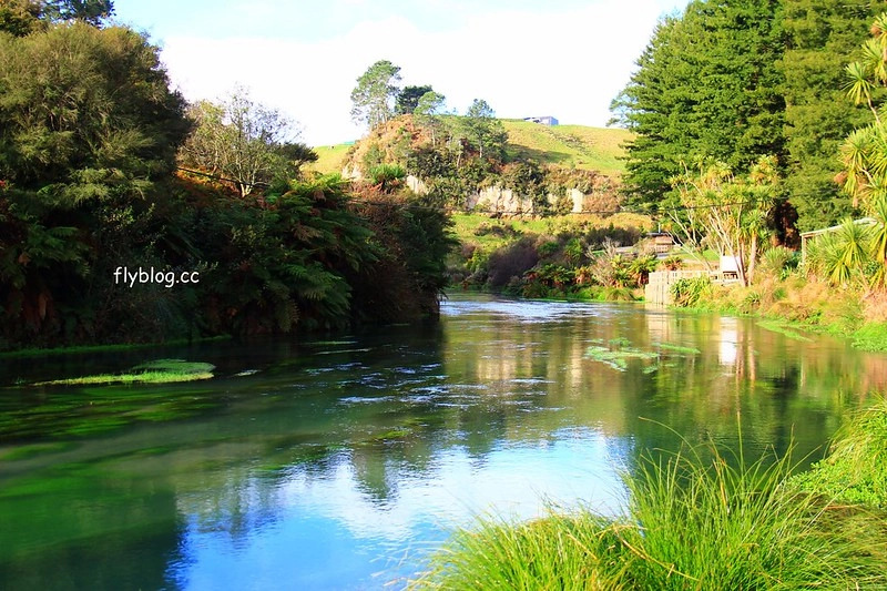 紐西蘭漢密爾頓｜藍泉 Blue Spring Putaruru．紐西蘭北島的神秘景點，清澈夢幻的藍色泉水，紐西蘭70%的瓶裝水出處 @飛天璇的口袋