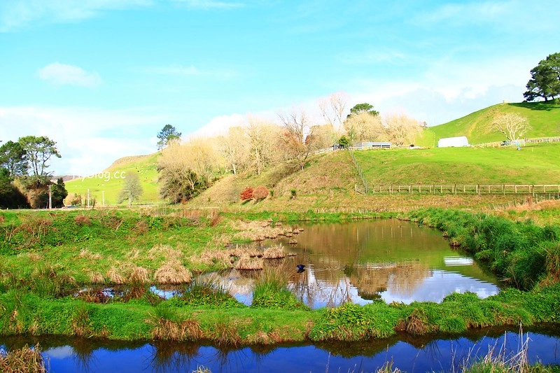 紐西蘭漢密爾頓｜藍泉 Blue Spring Putaruru．紐西蘭北島的神秘景點，清澈夢幻的藍色泉水，紐西蘭70%的瓶裝水出處 @飛天璇的口袋