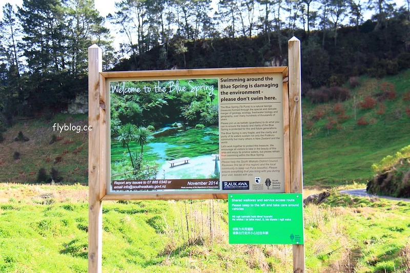 紐西蘭漢密爾頓｜藍泉 Blue Spring Putaruru．紐西蘭北島的神秘景點，清澈夢幻的藍色泉水，紐西蘭70%的瓶裝水出處 @飛天璇的口袋