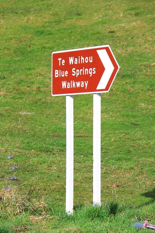 紐西蘭漢密爾頓｜藍泉 Blue Spring Putaruru．紐西蘭北島的神秘景點，清澈夢幻的藍色泉水，紐西蘭70%的瓶裝水出處 @飛天璇的口袋