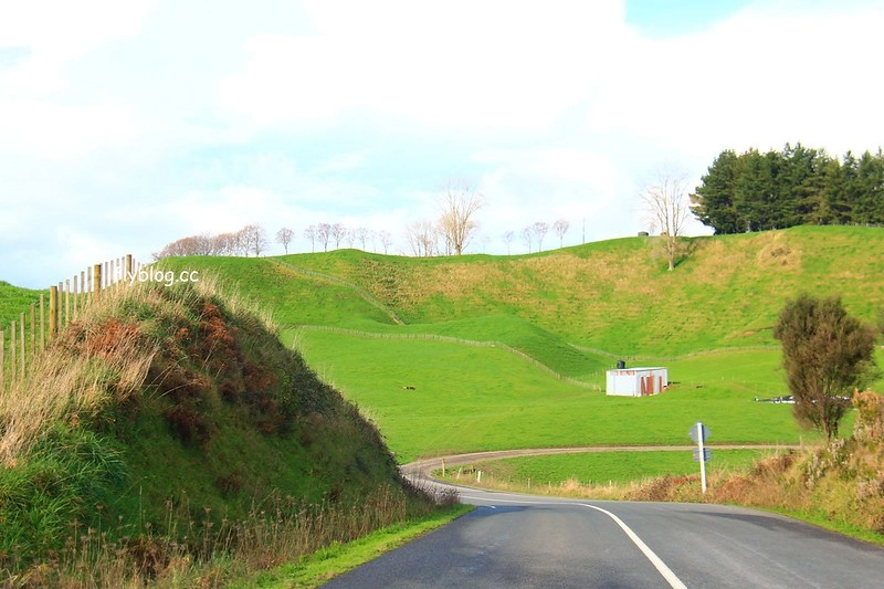 紐西蘭漢密爾頓｜藍泉 Blue Spring Putaruru．紐西蘭北島的神秘景點，清澈夢幻的藍色泉水，紐西蘭70%的瓶裝水出處 @飛天璇的口袋