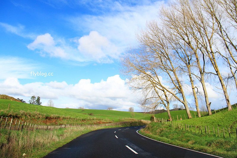 紐西蘭漢密爾頓｜藍泉 Blue Spring Putaruru．紐西蘭北島的神秘景點，清澈夢幻的藍色泉水，紐西蘭70%的瓶裝水出處 @飛天璇的口袋