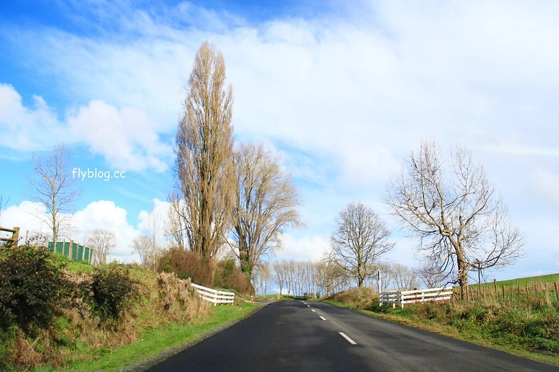 紐西蘭漢密爾頓｜藍泉 Blue Spring Putaruru．紐西蘭北島的神秘景點，清澈夢幻的藍色泉水，紐西蘭70%的瓶裝水出處 @飛天璇的口袋