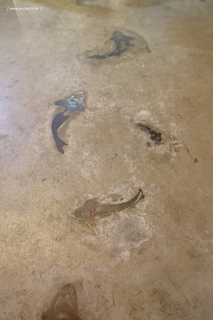 昨日花卷┃台中西區美食：Fusion創意料理作法，將各國料理融入菜色，新菜單正式上市，打卡破百送開胃菜，商業午餐送飲料，週五夜晚啤酒買一送一 @飛天璇的口袋