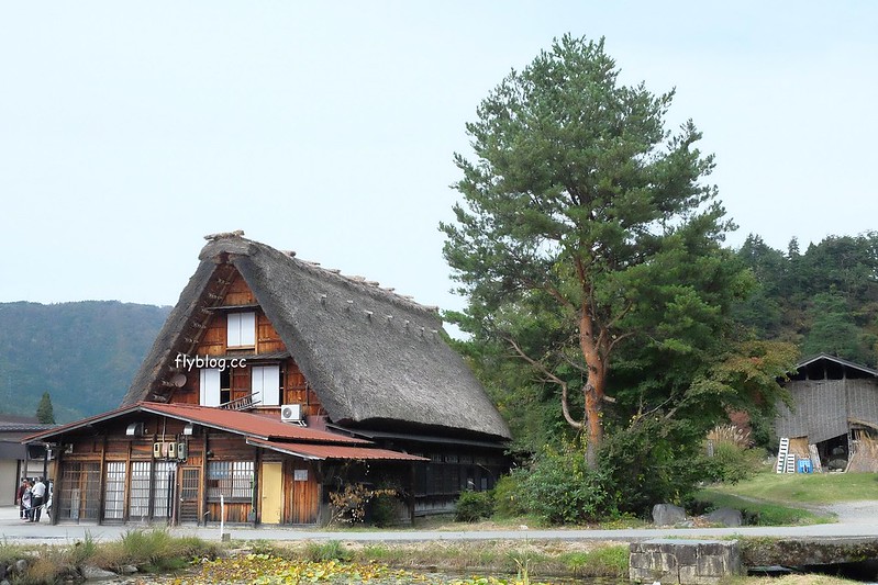日本岐阜｜合掌村．遇見秋天的浪漫，名古屋到合掌村交通方式，美食餐廳推薦 @飛天璇的口袋