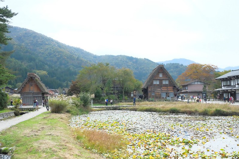 日本岐阜｜合掌村．遇見秋天的浪漫，名古屋到合掌村交通方式，美食餐廳推薦 @飛天璇的口袋