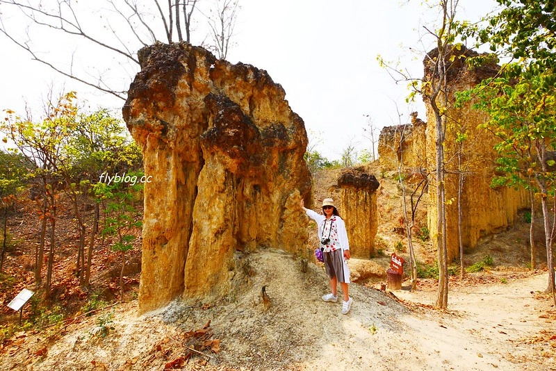 泰國清邁｜清邁自由行7天6夜．清邁自駕怎麼玩？行程推薦、美食景點、住宿分享 @飛天璇的口袋