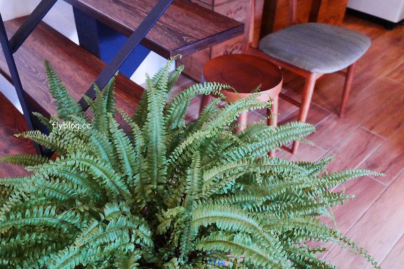 舞森咖啡┃台中北屯：溫馨有質感的咖啡館，甜點表現也不錯，可以使用插座和wifi，大坑地區下午茶推薦 @飛天璇的口袋