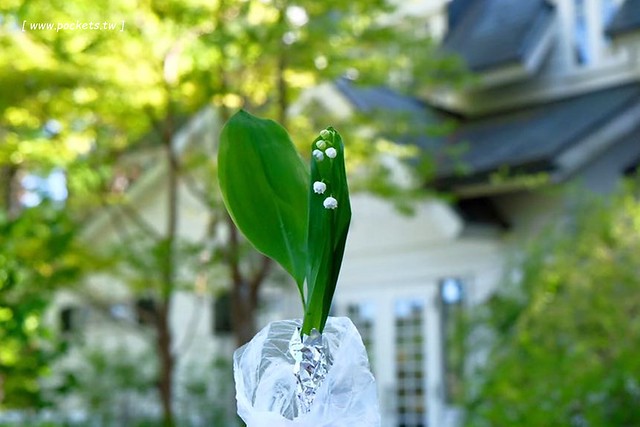 日本山梨｜Country Inn Orchard House 果園之家鄉村旅館．日本清里歐洲風童話小鎮，女主人以當地食材入菜 @飛天璇的口袋