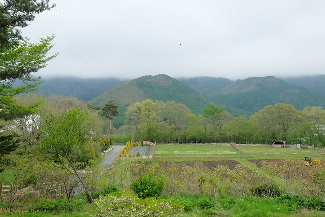 日本山梨｜Country Inn Orchard House 果園之家鄉村旅館．日本清里歐洲風童話小鎮，女主人以當地食材入菜 @飛天璇的口袋