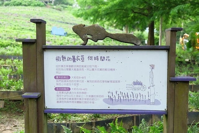 台中新社｜薰衣草森林新社店．充滿幸福的紫色樂園，享受森林裡的芬多精 @飛天璇的口袋