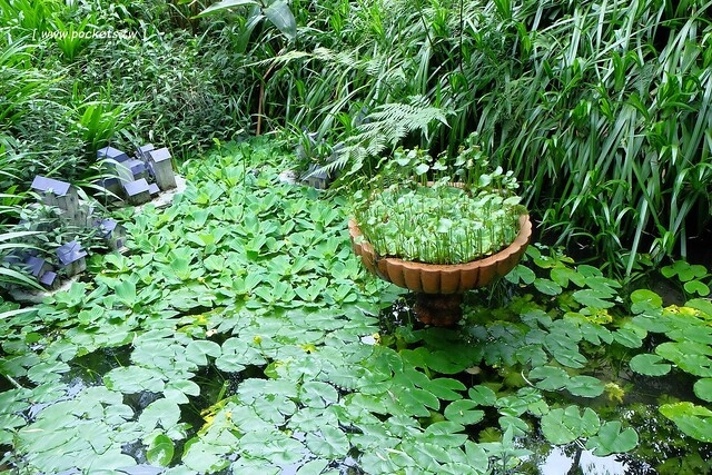 台中新社｜薰衣草森林新社店．充滿幸福的紫色樂園，享受森林裡的芬多精 @飛天璇的口袋