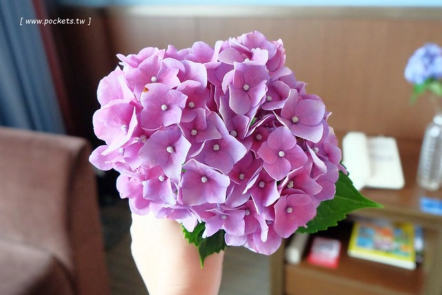 桃禧航空城酒店┃桃園飯店推薦：浪漫至極的水晶教堂、小孩最愛的木樂地Hape桃園館、入住送小恐龍玩偶、鄰近桃園國際機場交通方便 @飛天璇的口袋