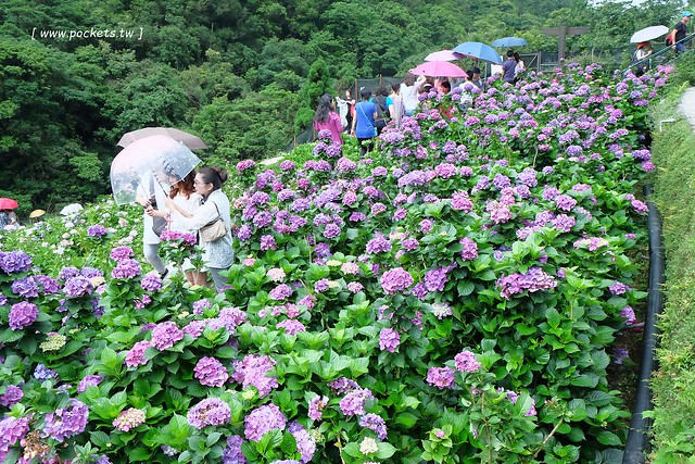 台北士林｜陽明山亞尼克夢想村1號店，美軍宿舍改建的甜點店，陽明山兩天一夜輕旅行 @飛天璇的口袋