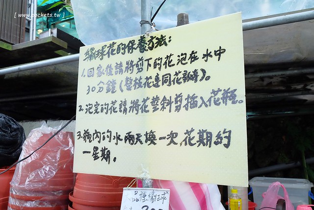 台北士林｜陽明山亞尼克夢想村1號店，美軍宿舍改建的甜點店，陽明山兩天一夜輕旅行 @飛天璇的口袋