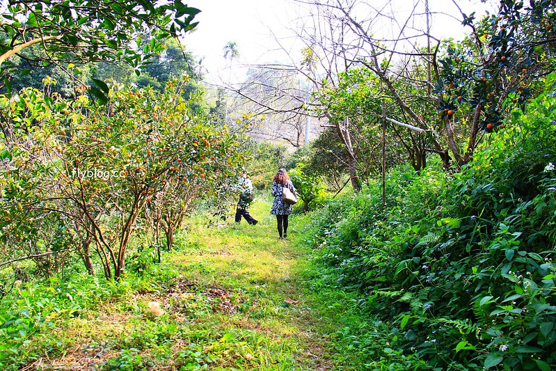 2018花博在后里┃台中后里：結果花博以及農遊，採果、露營、梨の筆DIY，搭配兩天一夜露營行程，后里也有不同的玩法 @飛天璇的口袋