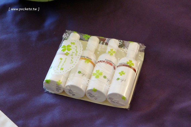 桃禧航空城酒店┃桃園飯店推薦：浪漫至極的水晶教堂、小孩最愛的木樂地Hape桃園館、入住送小恐龍玩偶、鄰近桃園國際機場交通方便 @飛天璇的口袋