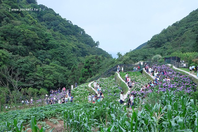 台北士林｜陽明山亞尼克夢想村1號店，美軍宿舍改建的甜點店，陽明山兩天一夜輕旅行 @飛天璇的口袋