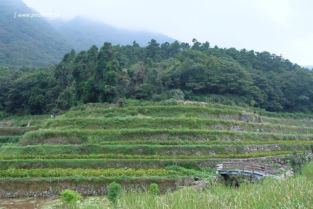 台北士林｜陽明山亞尼克夢想村1號店，美軍宿舍改建的甜點店，陽明山兩天一夜輕旅行 @飛天璇的口袋