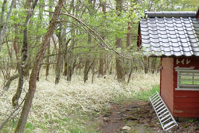 日本山梨｜清里一日遊．Rock餐廳、清里聖アンデレ教会、清高寮、萌木之村 @飛天璇的口袋