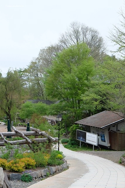 日本山梨｜清里一日遊．Rock餐廳、清里聖アンデレ教会、清高寮、萌木之村 @飛天璇的口袋