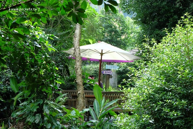 台中新社｜薰衣草森林新社店．充滿幸福的紫色樂園，享受森林裡的芬多精 @飛天璇的口袋