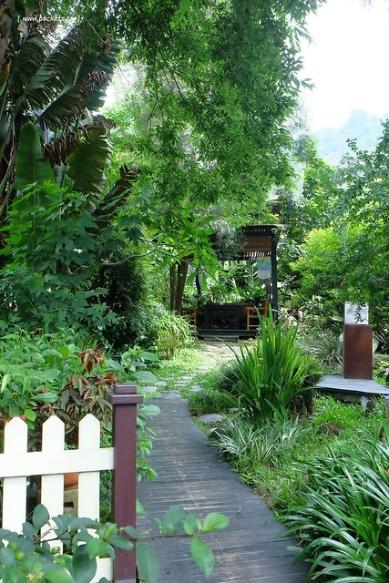 台中新社｜薰衣草森林新社店．充滿幸福的紫色樂園，享受森林裡的芬多精 @飛天璇的口袋