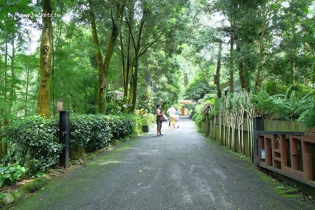 台中新社｜薰衣草森林新社店．充滿幸福的紫色樂園，享受森林裡的芬多精 @飛天璇的口袋