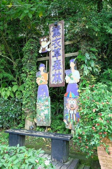 台中新社｜薰衣草森林新社店．充滿幸福的紫色樂園，享受森林裡的芬多精 @飛天璇的口袋