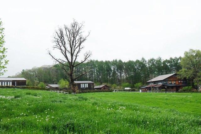 日本山梨｜清里一日遊．Rock餐廳、清里聖アンデレ教会、清高寮、萌木之村 @飛天璇的口袋