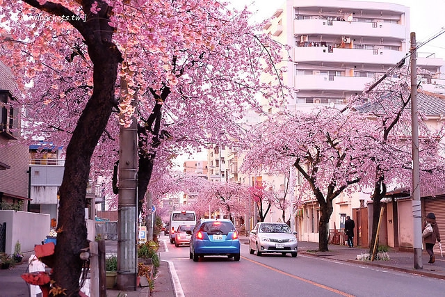 【日本名古屋】名古屋5天4夜自由行行程規劃懶人包~威航Vair&rarr;中部機場&rarr;名古屋&rarr;合掌村&rarr;飛驒高山&rarr;名古屋&rarr;三重鈴鹿，五天四夜自由行昇龍道巴士+自駕租車之旅 @飛天璇的口袋