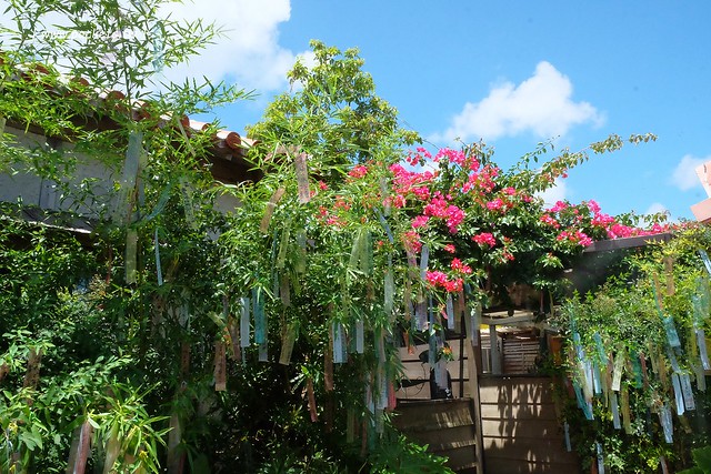 日本沖繩｜花人逢．かじんほう｜擁有無敵美景的餐廳，在日式老宅裡品嚐披薩的美味，人多時有候位的心裡準備 @飛天璇的口袋
