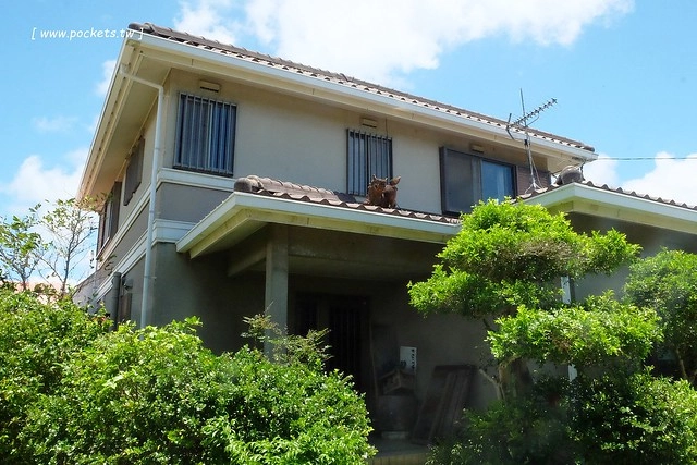 日本沖繩｜花人逢．かじんほう｜擁有無敵美景的餐廳，在日式老宅裡品嚐披薩的美味，人多時有候位的心裡準備 @飛天璇的口袋